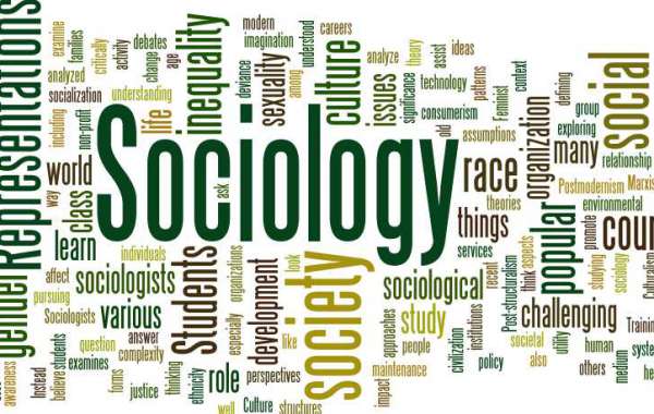 What is the Best Way to Study Sociology?