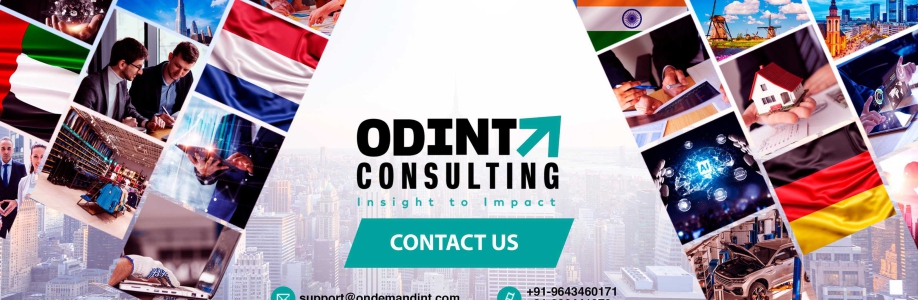 Odint Consulting Cover Image