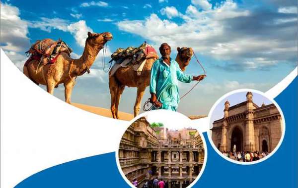 Golden Triangle India Tour package price
