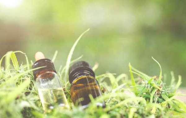 Best Cbd Oil For Pain Relief And Inflammation