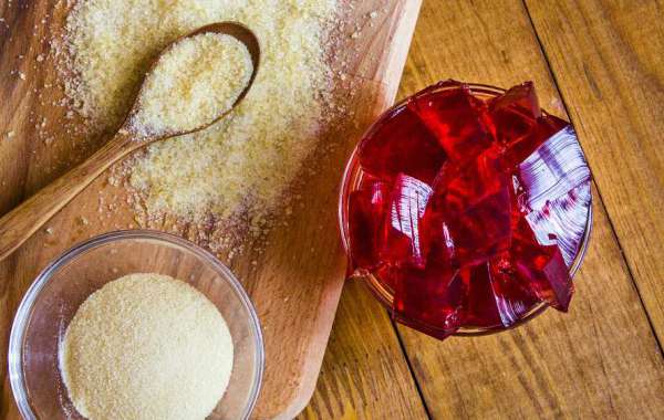 Gelatin Market To Witness Huge Growth and Revenue Acceleration by 2028