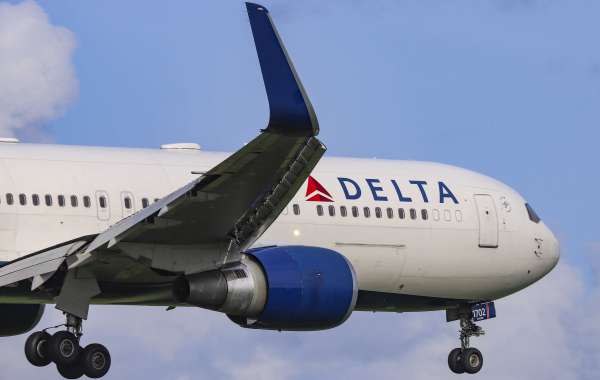 What Is The Need Of Delta Lost Baggage Phone Number