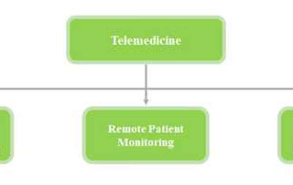 THE REMOTE PATIENT MONITORING MARKET IS ANTICIPATED TO WITNESS SIGNIFICANT GROWTH OVER THE NEXT DECADE