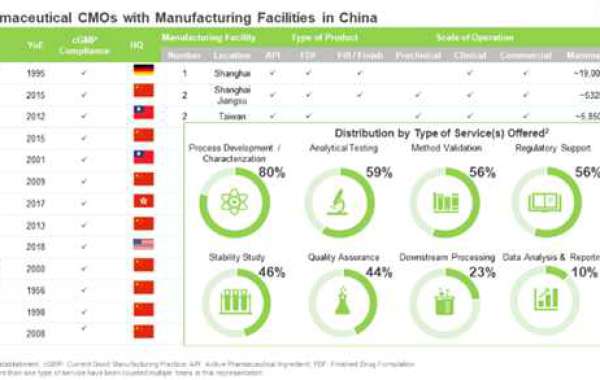 China Biopharmaceutical Contract Manufacturing Market - Gaining Traction in the Pharmaceutical Industry