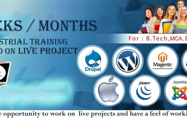 INDUSTRIAL TRAINING FOR 6 MONTHS IN MOHALI, CHANDIGARH