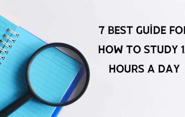 7 Best guide for studying 12 hours a day