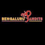 Bengaluru Pandits bengalurupandits Profile Picture