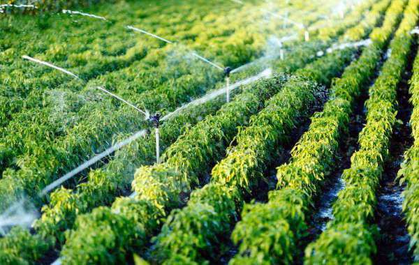 Global Micro Irrigation System Market expected to expand at a CAGR of more than 9% by 2027