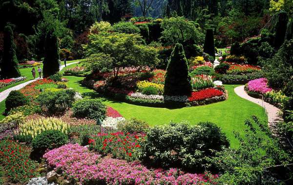 Garden Landscaping Market Key Players, Size, Trends, Opportunities and growth Analysis, 2030