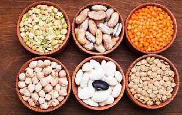 Global protein ingredients market is expected to expand at a CAGR of more than 6% from 2021 to 2027