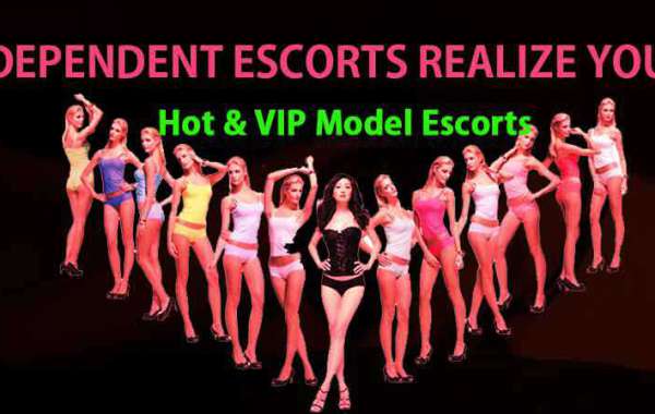 Get Ready for a Wild Night with Jaipur's Escort Service