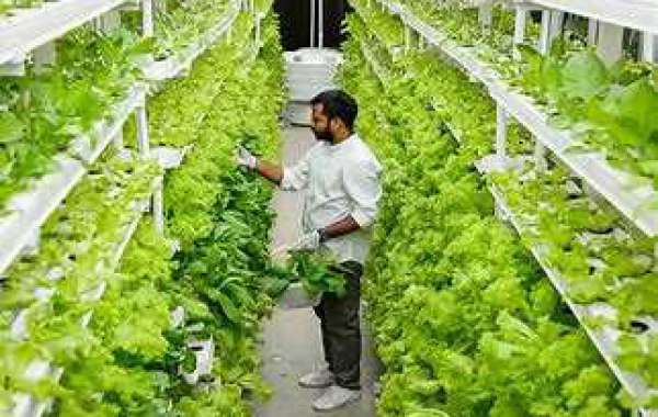 Global Vertical Farming Market is expected to expand at a CAGR of more than 21.5% in 2027
