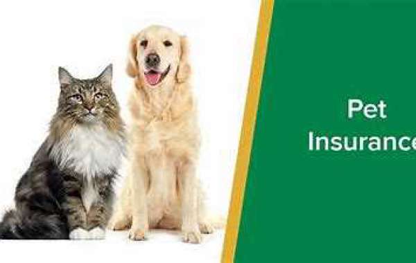 Global Pet Insurance Market is expected to grow with an anticipated CAGR of more than 10% in 2026