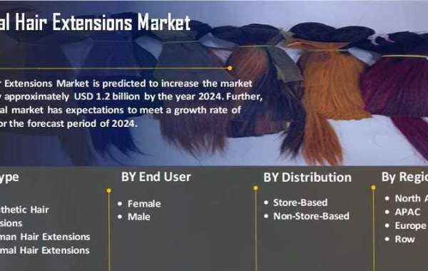 Hair Extensions Market By Application Regulations And Competitive Landscape Outlook To 2027