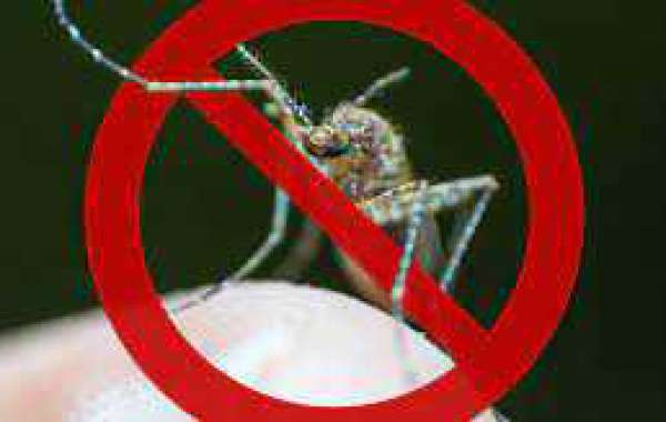 10 Quick Tips On Mosquito Control