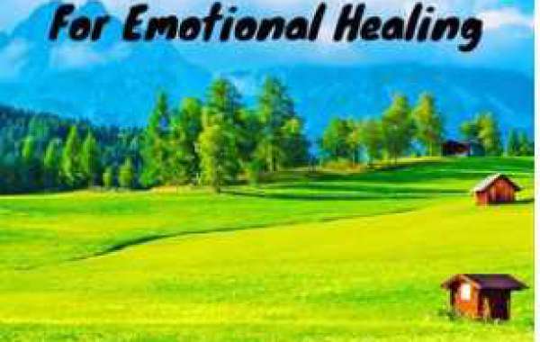 Emotional intelligence coach with emotional intelligence