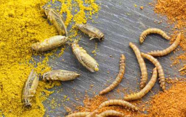 Insect Protein Market to Develop Rapidly by 2030