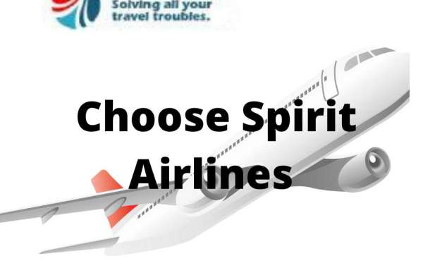 Does Spirit Airlines Compensate for Delayed Flight? 