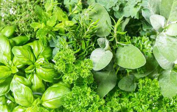 Fresh Herbs Market Analysis Growth, Size with Share, Regional Overview, Key Driven, Forecast