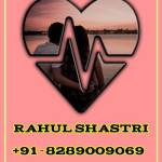 Rahul Shastri profile picture