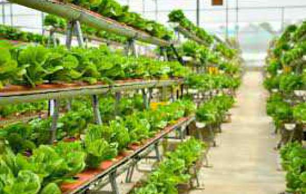 Global Indoor Farming Market size, share, analysis, trends, growth, and forecast to 2027
