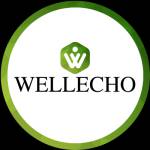 wellechohealthcare Profile Picture