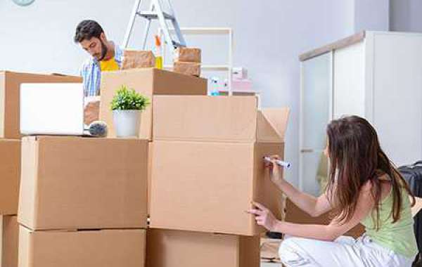 Removalists Point Cook Movers Buddy