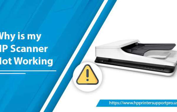 Why is my HP Scanner Not Working [How To Fix]