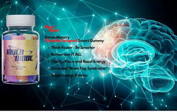 Myco Mode Nootropic Gummies: All Natural Ingredients That Work Fast