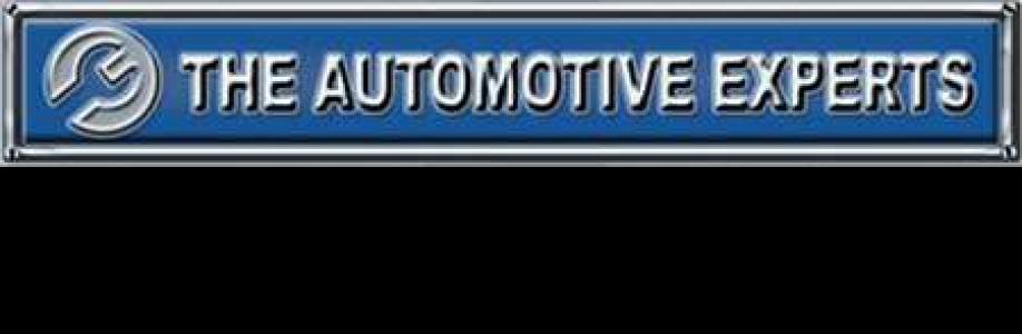 THE AUTOMOTIVE EXPERTS Cover Image