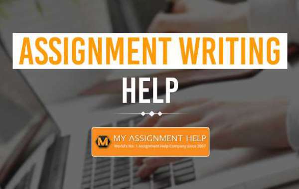 Get Palmerston North Assignment help by following these 5 steps
