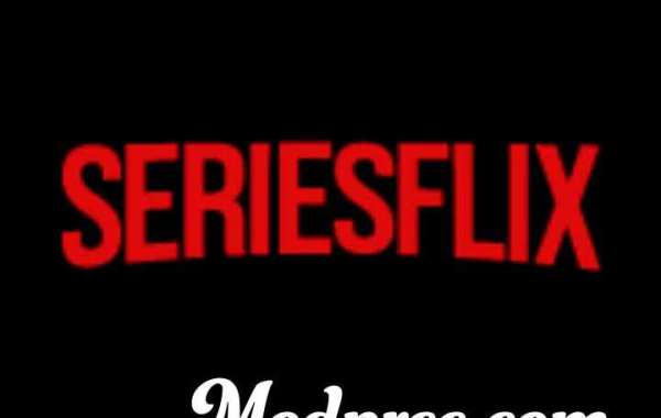 Is SeriesFlix Really Better Than Netflix?