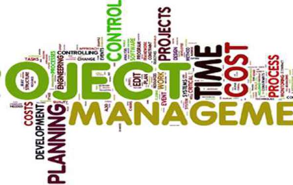 Tips for Project Managers Course For Students A program manager is what?