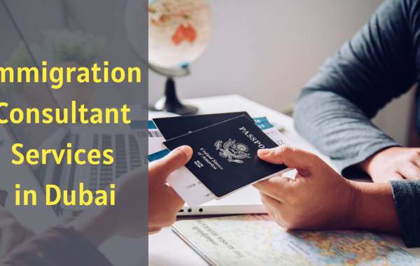 Choose Professional Immigration Services in Dubai