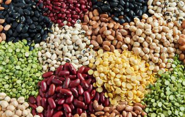 Fruits and Vegetable Seeds Market is projected to reach USD 11.43 Billion by 2030, at a CAGR of 8.06% from 2022 to 2030