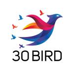 30 Bird Media 30birdmedia Profile Picture