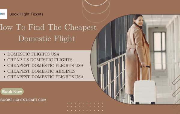 How To Find The Cheapest Domestic Flight