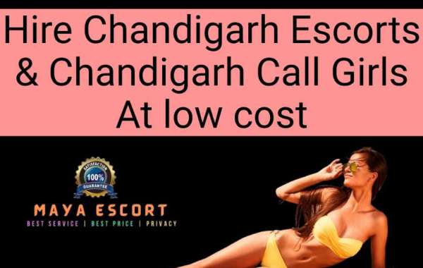chandigarh escort service