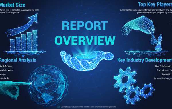 Encryption Software Market Size, Share And Major Industry Players Forecast (2022-2029)
