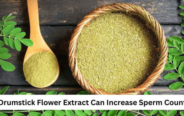 The Drumstick Flower Extract can increase sperm count