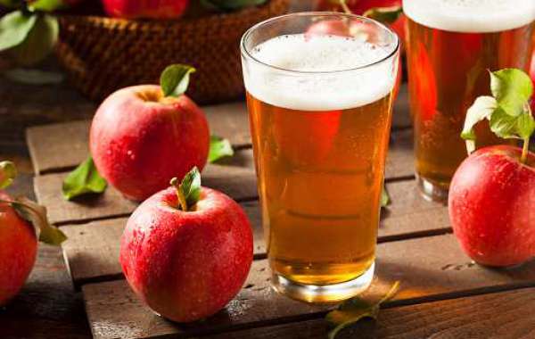 Fruit Beer Market by Application, Regional Growth, Revenue, Key Player, Segmentation, Insights