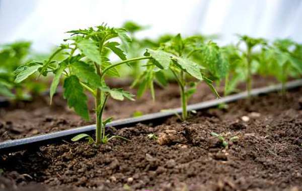 Drip Irrigation Market Share, Demand with Size, Regional Overview, Key Driven, Forecast