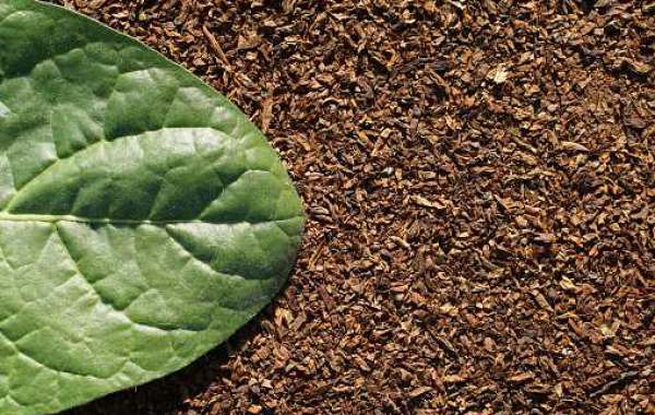 Raw Tobacco Leaves Market Forecast, Trend, Demand, Share, Regional Opportunities, Key Driven