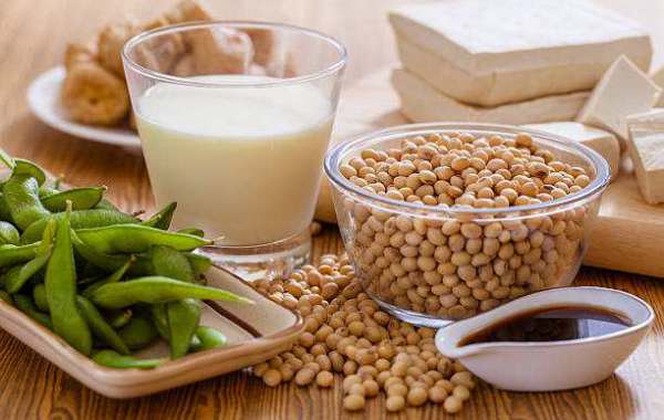Soy Food Market Trends | Scope of Current and Future Industry 2030