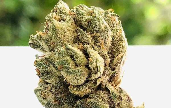 Pink Bubba Strain: Effects of Non-Medical Use of Cannabis